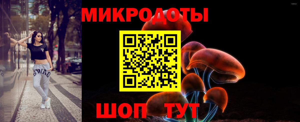 Железноводск  сколько стоит  Вход с VPN  Псилоцибиновые грибы мицелий 